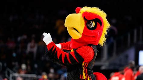 Talon's Journey: The Creation and Development of the Atlanta Hawks Mascot Name